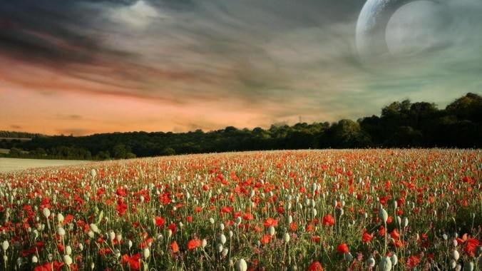 为什么中国菜这么油腻，但是中国人口肥胖率没有美国那么高？